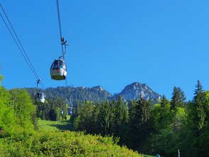 Seilbahnkabinen fahren über grüne Wiesen und Wälder in den Bergen.