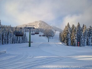 Snow-covered slope with a chairlift and pine trees in the background.