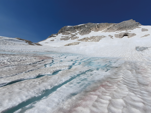 Expansive snowfield with bluish cracks in the snow.